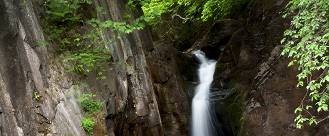 Tax Briefing Spring 2026